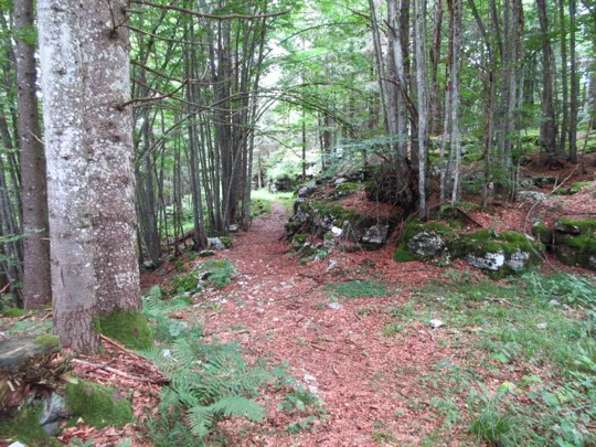 Dettaglio del sentiero