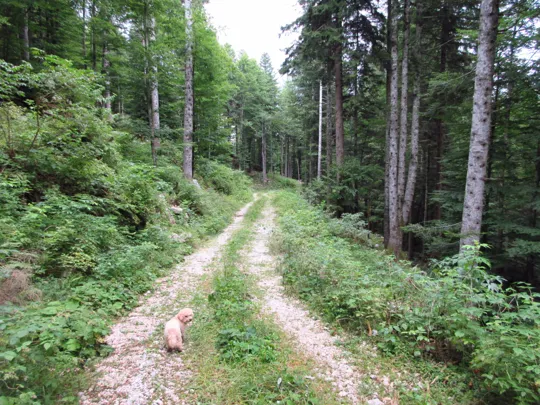 Dettaglio del percorso