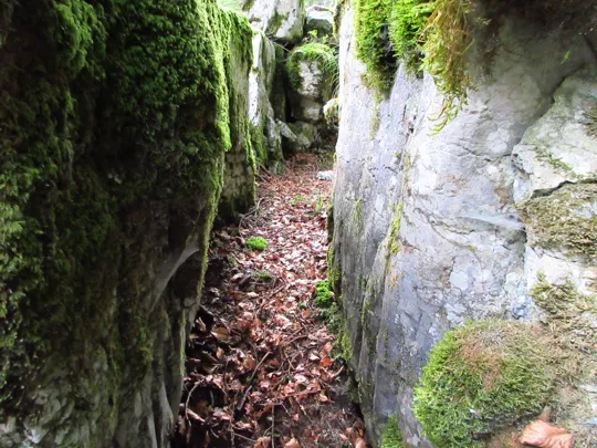 Dettaglio della trincea