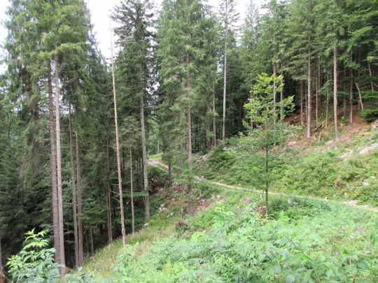 Dettaglio del percorso