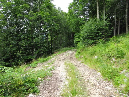 Dettaglio del percorso