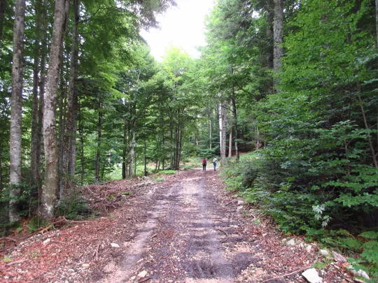 Dettaglio del percorso