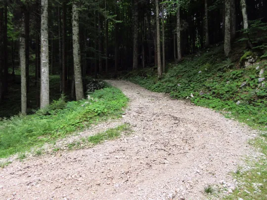 Dettaglio del percorso