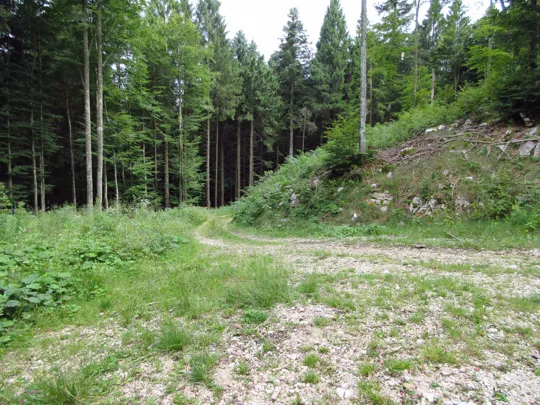 Proseguire a sinistra