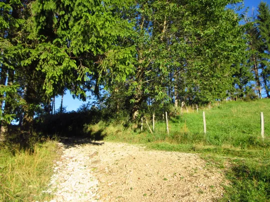 Dettaglio del percorso