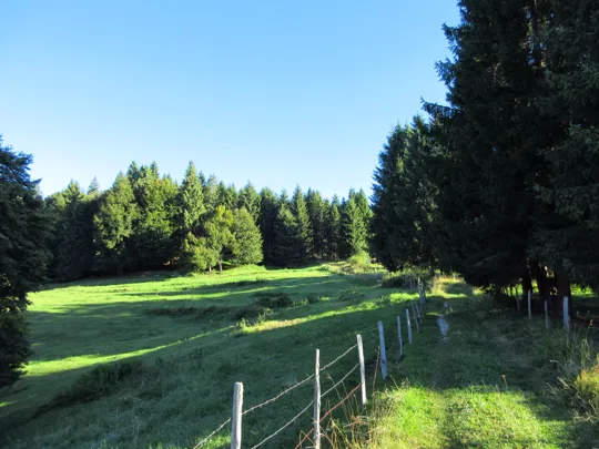 Dettaglio della strada