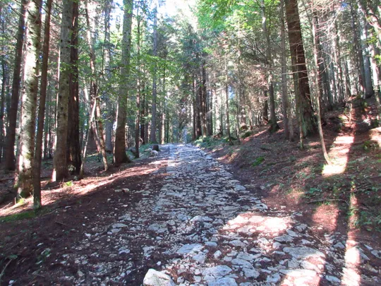 Dettaglio della mulattiera