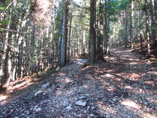 Incrocio, proseguire a destra