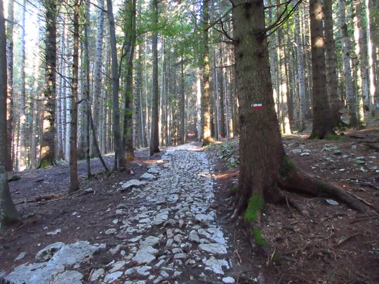 Dettaglio del sentiero