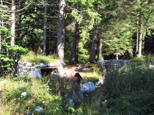 Trincee in ristrutturazione