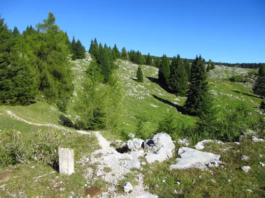 Dettaglio del percorso