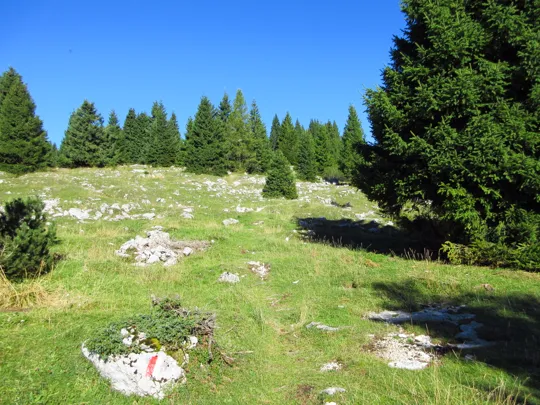 Dettaglio del percorso