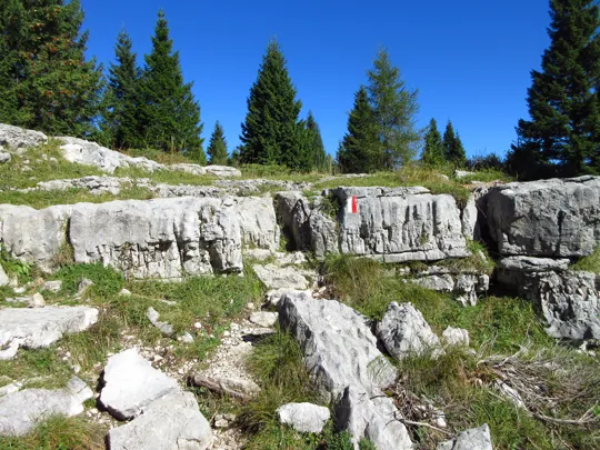 Dettaglio del percorso