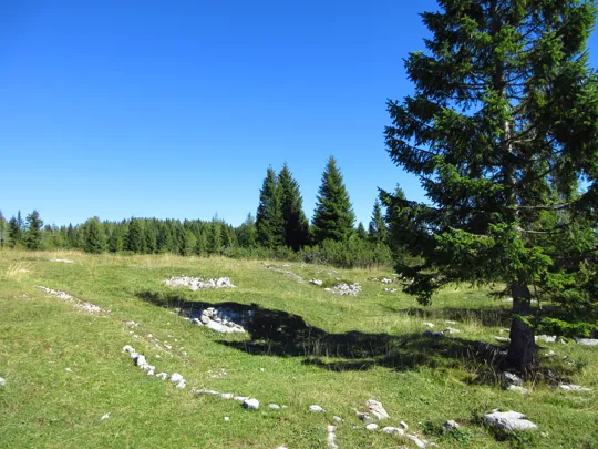 Inizio della strada erbosa