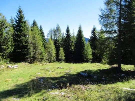 Dettaglio della strada