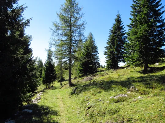 Dettaglio del percorso