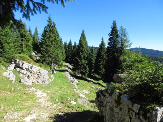 Dettaglio del percorso