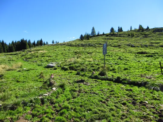 Salita verso Crocetta