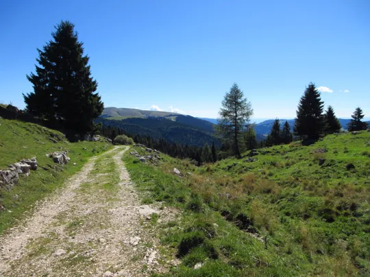 Dettaglio della strada