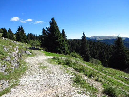 La strada verso il tornante