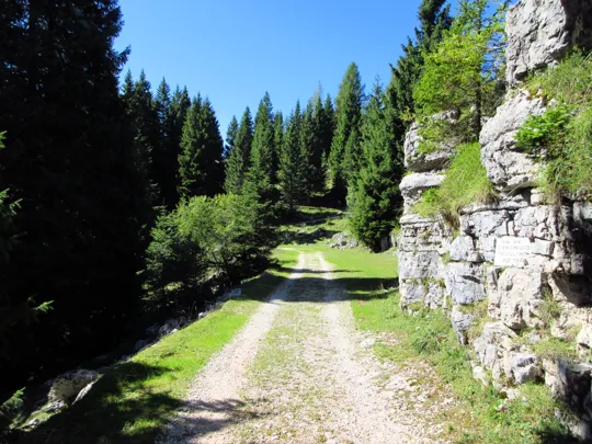 Dettaglio del percorso