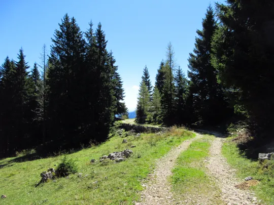 Dettaglio del percorso