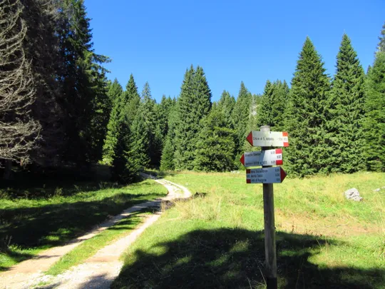 Incrocio, proseguire dritto