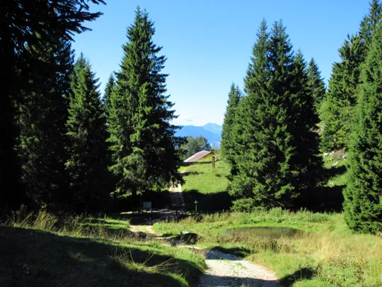 Incrocio proseguire dritto verso il rifugio Stalder