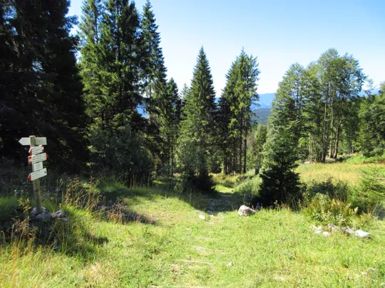 Inizio della pista Stalder