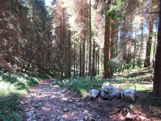 Dettaglio della discesa