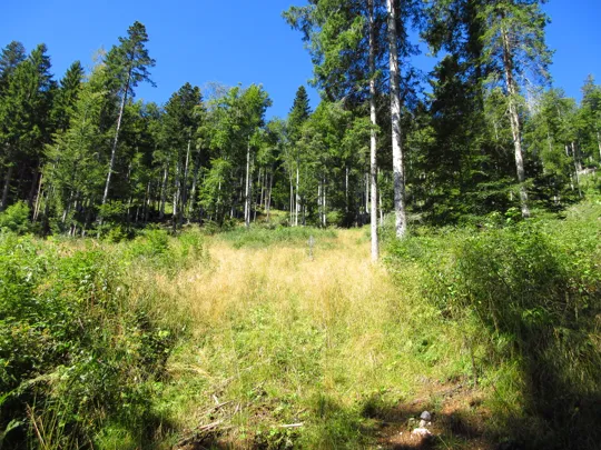 Salita verso la croce