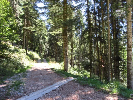 Dettaglio della strada