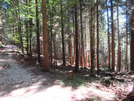 Inizio del sentiero sulla destra