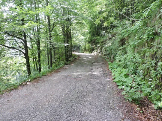 Anello Pian delle Fugazze - Campogrosso