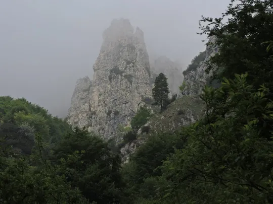 Anello Pian delle Fugazze - Campogrosso