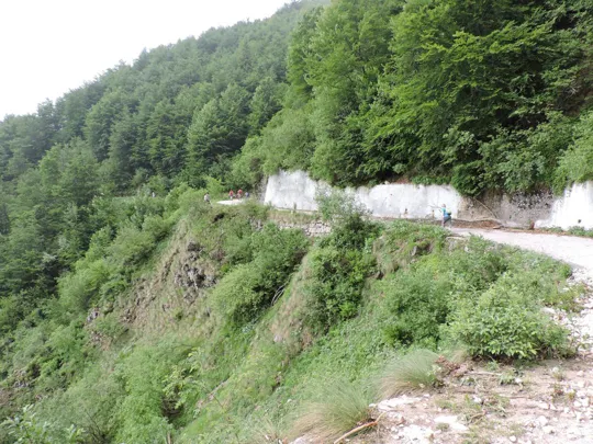 Anello Pian delle Fugazze - Campogrosso