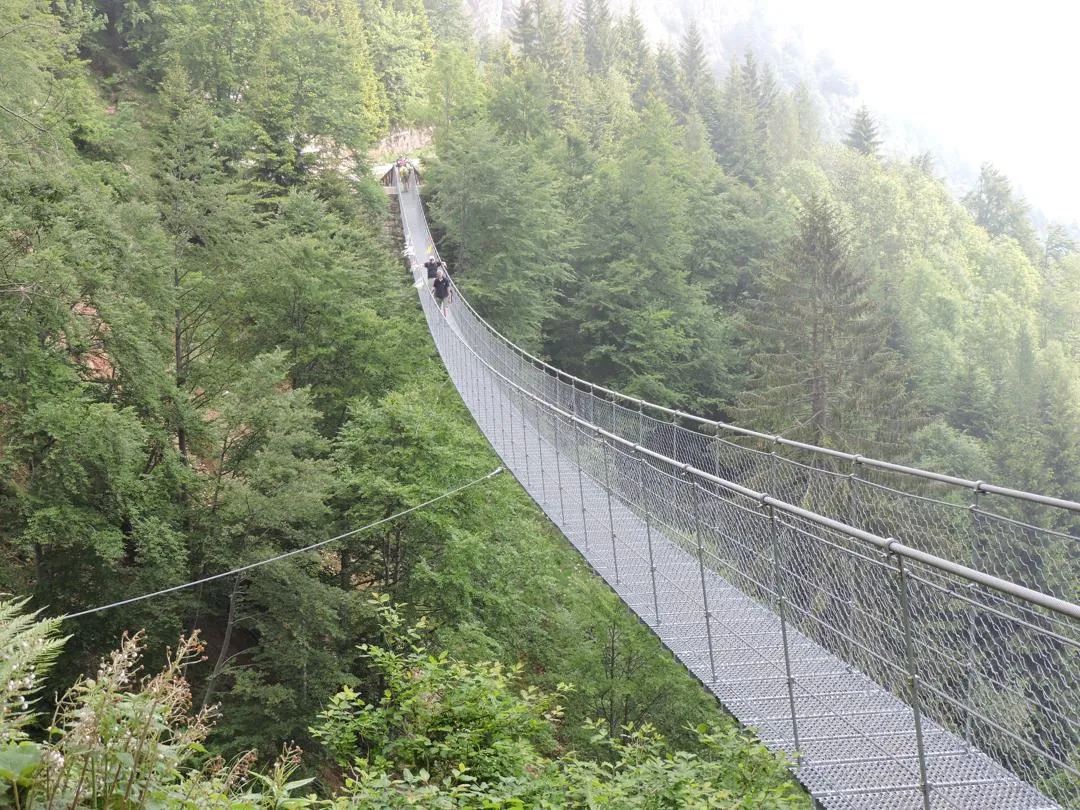 Anello Pian delle Fugazze - Campogrosso