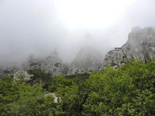 Anello Pian delle Fugazze - Campogrosso