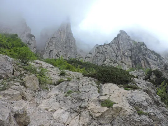 Anello Pian delle Fugazze - Campogrosso