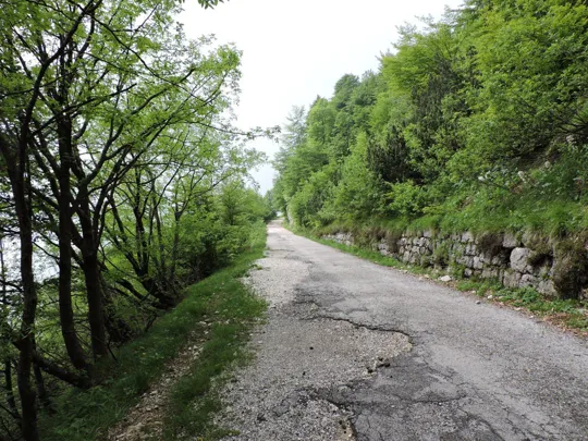 Anello Pian delle Fugazze - Campogrosso