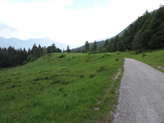 Anello Pian delle Fugazze - Campogrosso