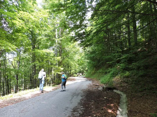 Anello Pian delle Fugazze - Campogrosso