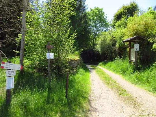 Inizio della strada del Bisele
