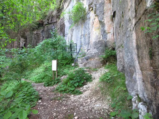Zona delle incisioni rupestri