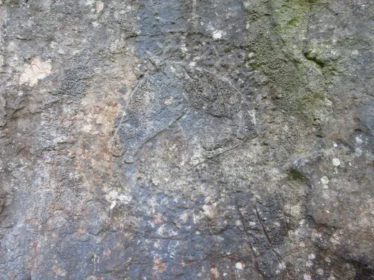 Incisioni rupestri