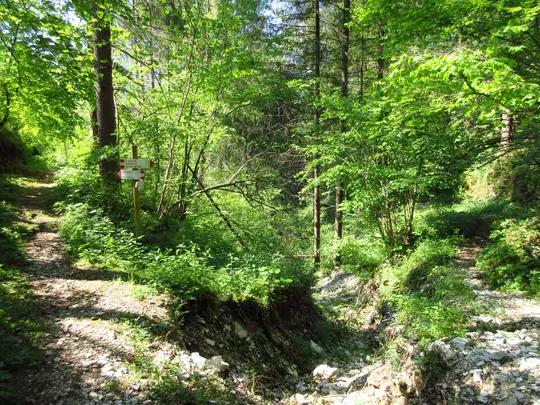 Zona dell'incrocio, su questa foto si arriva da sinistra e si prosegue a destra