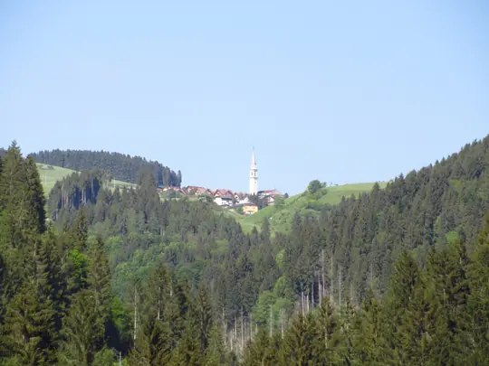Camporovere