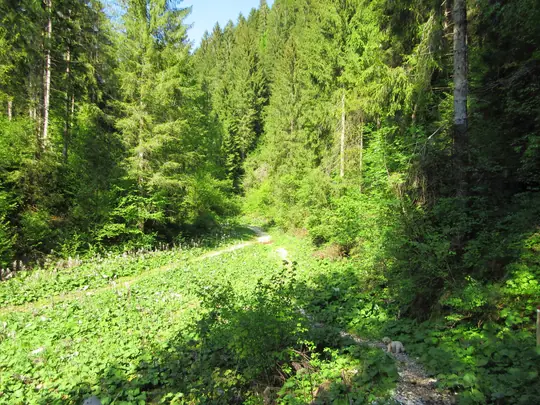 Sul greto dell'Assa