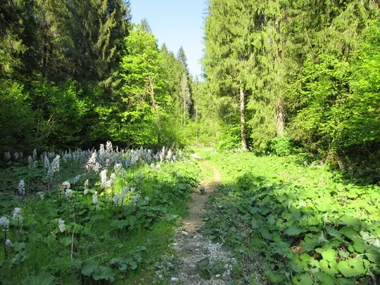 Sul greto dell'Assa