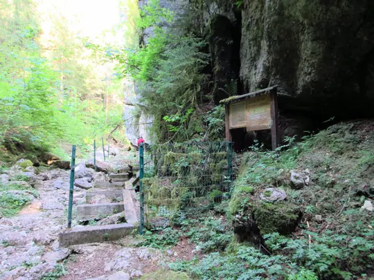 Incisioni rupestri del Tunkelbald